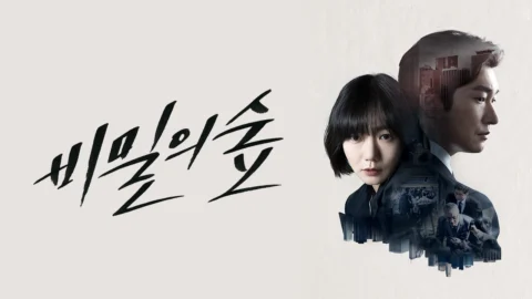 Stranger (Khu Rừng Bí Mật) – Phần 1